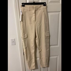 Aritzia Wilfred Free Cargo Pants